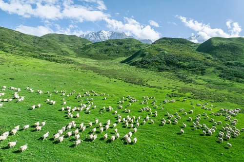 ��ʱ������(�й���)�������ǲ�!